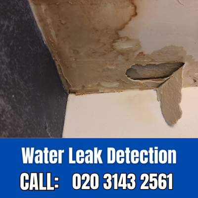 Expert Water Leak Detection Services in Bushey Heath | Bushey Heath Leak Detection